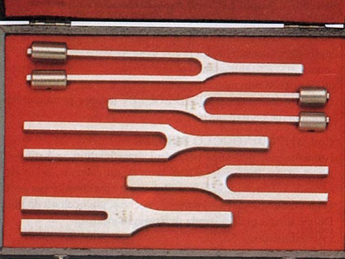 Trousse Diapason Lega - 5 Pezzi