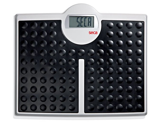 Pesapersona Digitale Seca 813