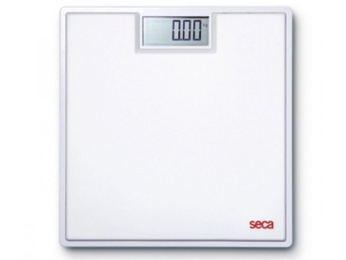 Pesapersona Digitale Da Terra